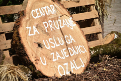 1_centar-za-pruzanje-usluga-Medium