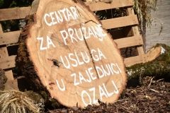 centar-za-pruzanje-usluga-Medium